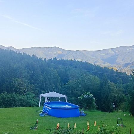 Apartmaji Borstner Vransko Εξωτερικό φωτογραφία