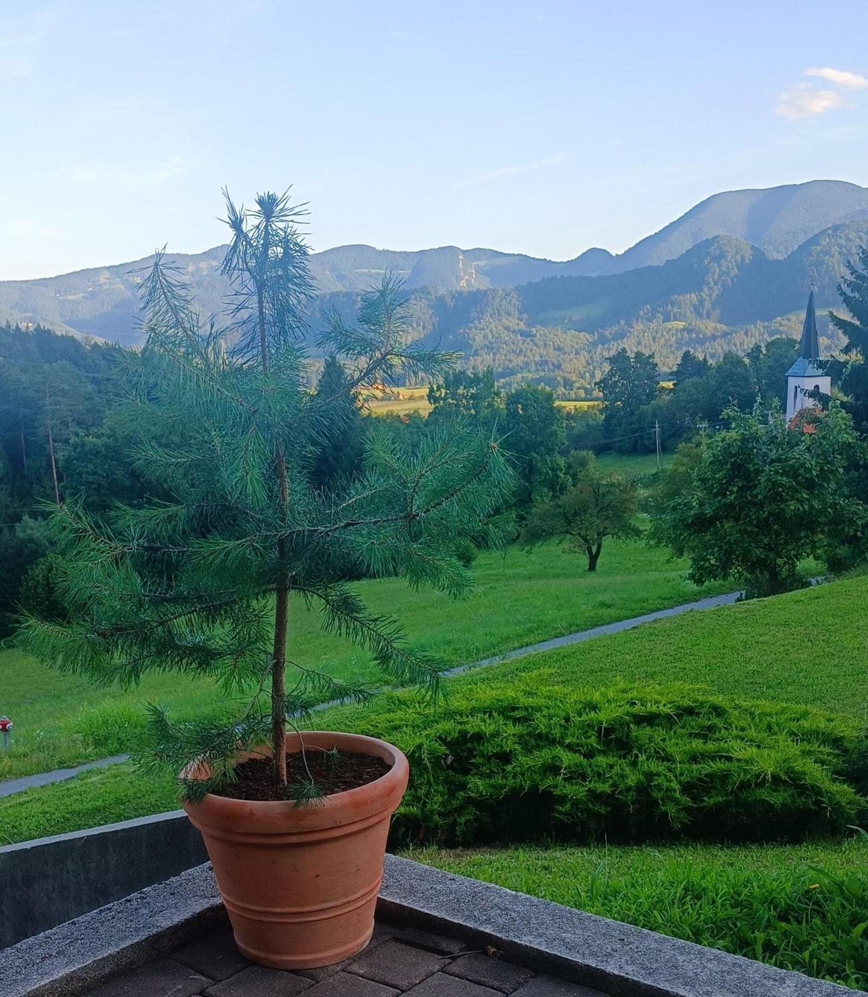 Apartmaji Borstner Vransko Εξωτερικό φωτογραφία